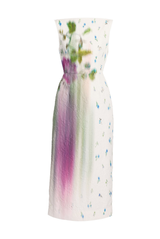 Printed Sleeveless Ankle Length Dress