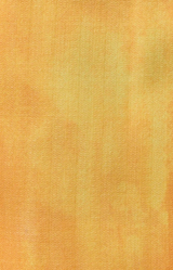 Gabriela Hearst Coleridge Vest Cadmium