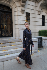 Gabriela Hearst Galway shirt dress